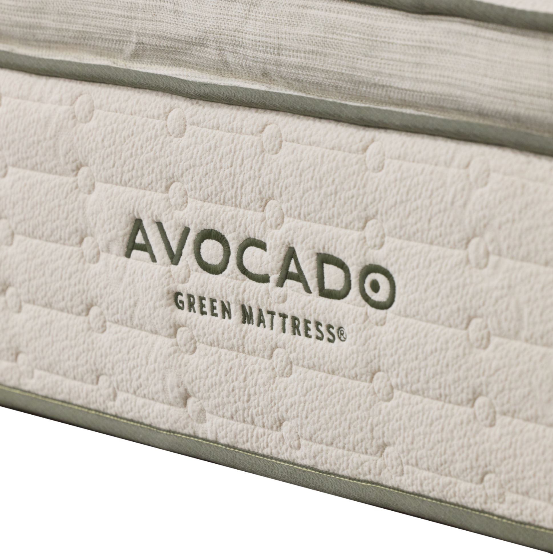 Avocado® Green PT Plush