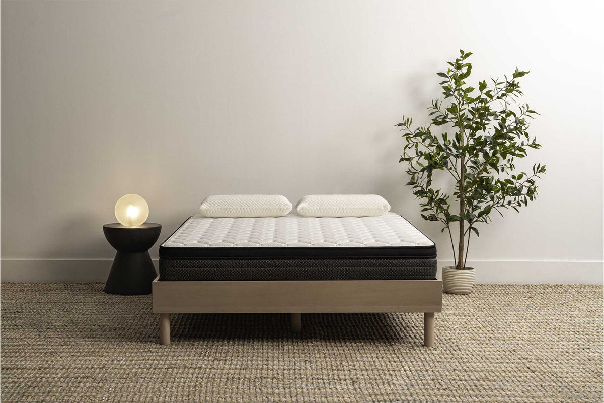 Mancini's Sleepworld Gold Euro-Top Mattress 9"