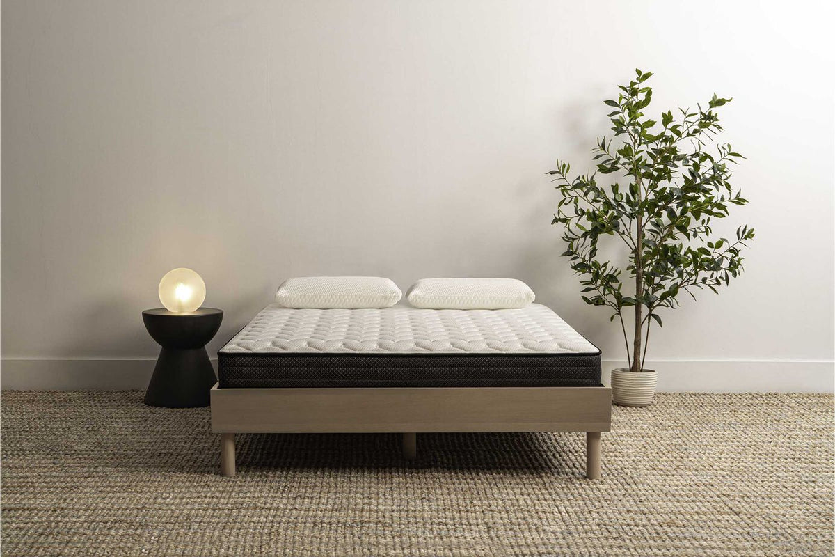 Mancini's Sleepworld Silver Medium Firm Mattress 7"
